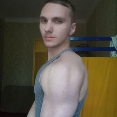 Bogdan778
