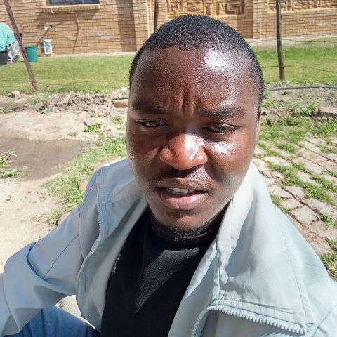 Sanele2