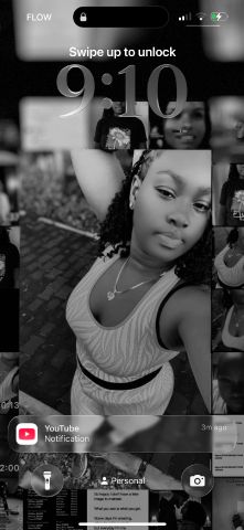 Sheks_chosen