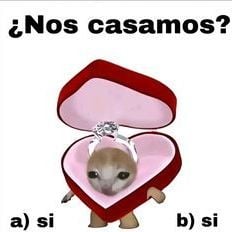 Raul_godo13