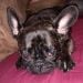 Michael593 is Single in Saint Augustine, Florida, 1