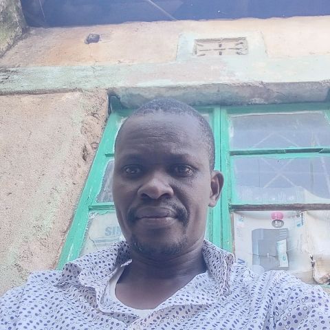 Polycarp59
