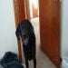 RobinSon665456 is Single in Rockford, Michigan, 3
