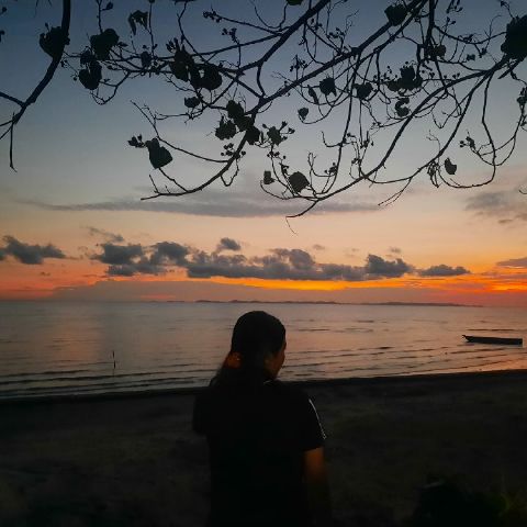 witaa29