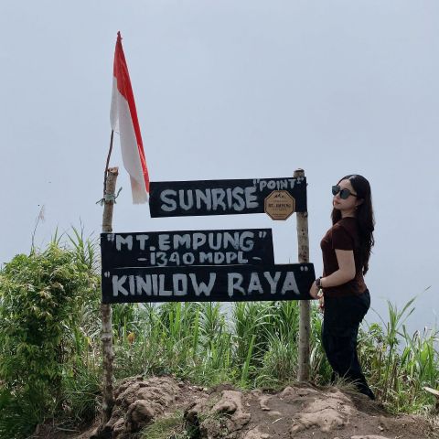 Ntllyy
