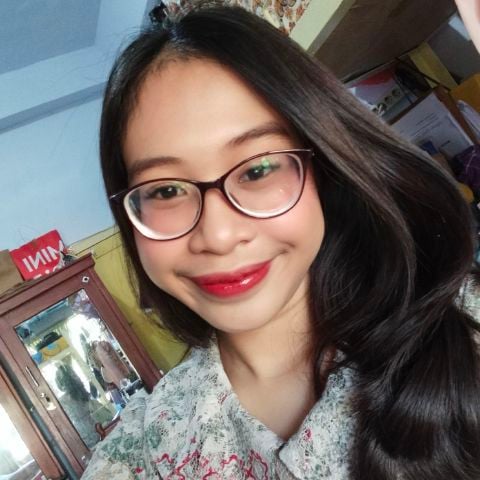 Vinkan29