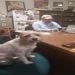 Willcares is Single in Lexington, Kentucky, 4