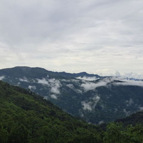 Kondang