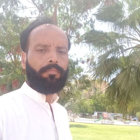 Sardar69