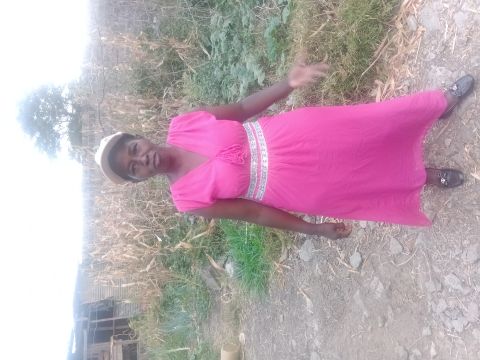 rosek1