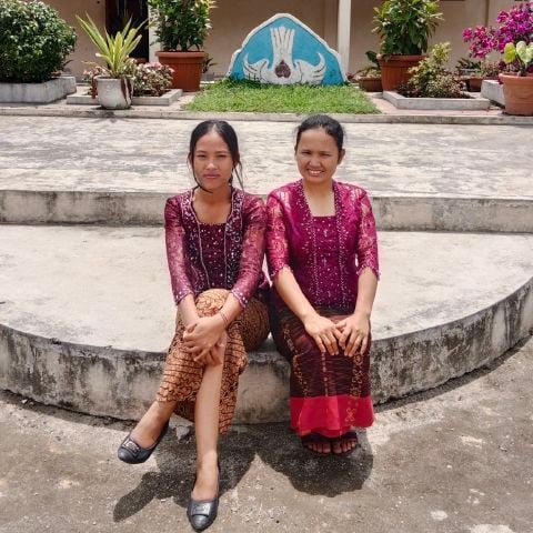 desmi