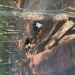 Glen1978 is Single in BLAIR, South Carolina, 3