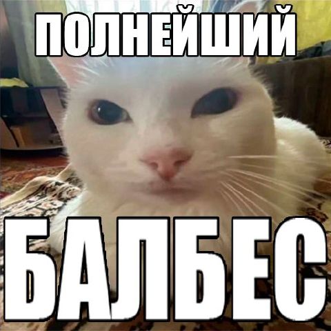 Maksim3329