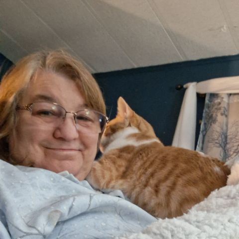 Margaret0671 is Single in Brattleboro, Vermont, 3