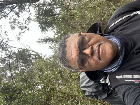 Roddo