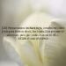 Juracam is Single in Montreal-nord, Quebec, 4
