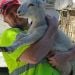 BillyR45 is Single in HENRICO, Virginia, 9