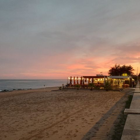 Papallona