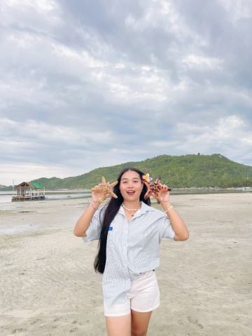 vheann