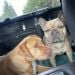 Carolyn0824 is Single in Tenino, Washington, 4