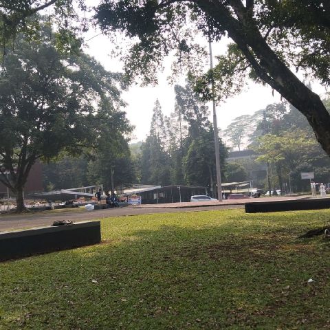Etafina