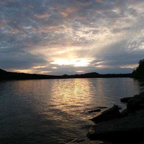 Scout73 is Single in Whitehall, Wisconsin, 2