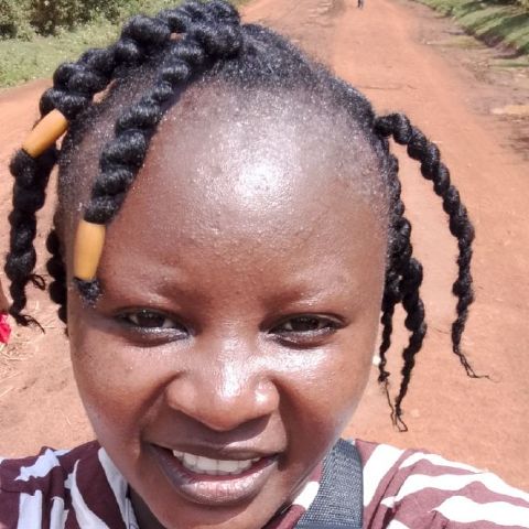 kedogo254