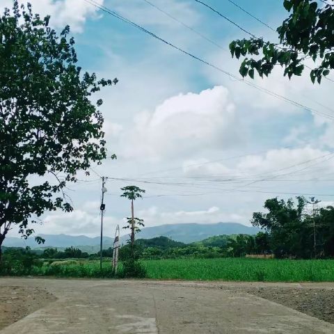 Jen_19