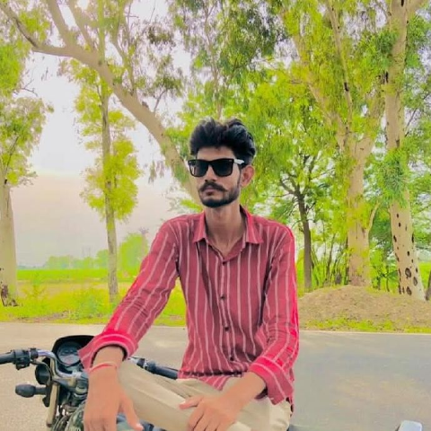 Surya295
