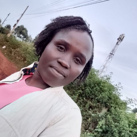 Melsy645