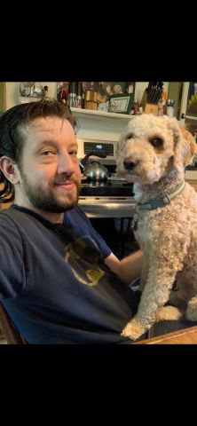Bash0909 is Single in Mansfield, Ohio, 2