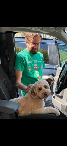 Bash0909 is Single in Mansfield, Ohio, 4