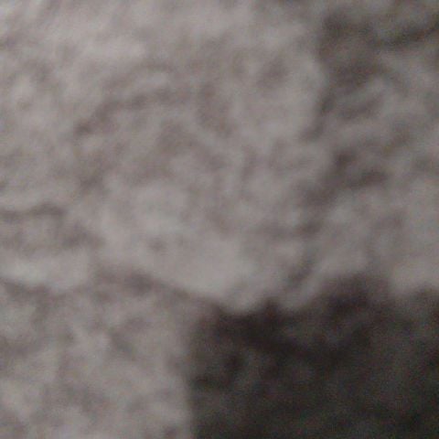 Shaleh