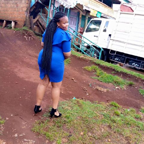 Quizy