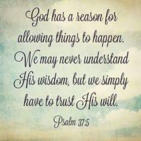 addi14