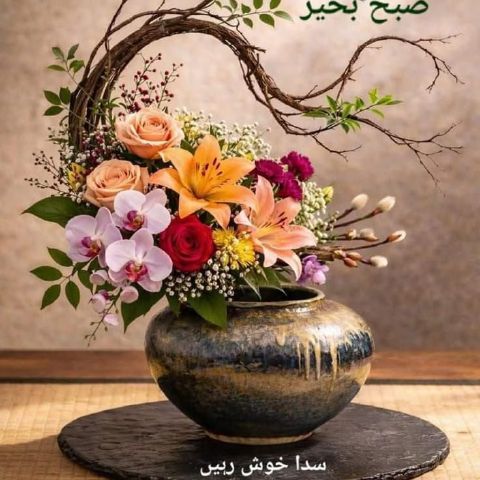 Zaid0343