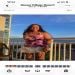 Glenna62