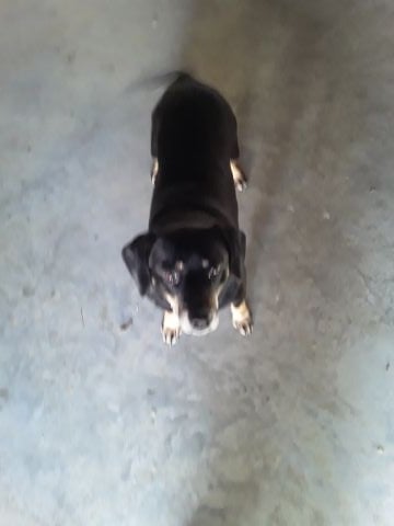 Tracy1086 is Single in CLAY, Kentucky, 2