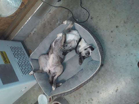 Tracy1086 is Single in CLAY, Kentucky, 4