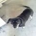 Tracy1086 is Single in CLAY, Kentucky