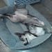 Tracy1086 is Single in CLAY, Kentucky, 3
