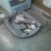 Tracy1086 is Single in CLAY, Kentucky, 4