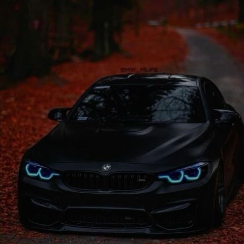 ibra3251
