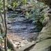 Shawn77799 is Single in Mount Airy, North Carolina