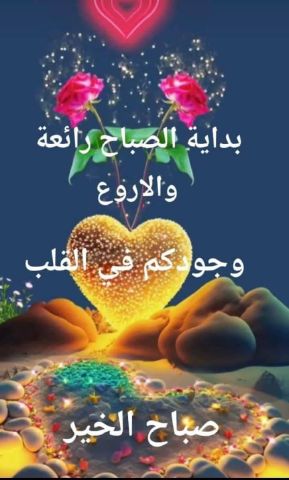 Rabih11