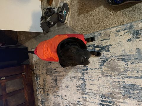 Sully0917 is Single in SIOUX FALLS, South Dakota, 4