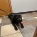 Sully0917 is Single in SIOUX FALLS, South Dakota, 2
