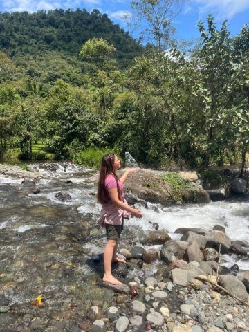 sionLl