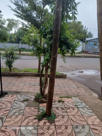 bizbuza