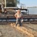 RobertTheBloomsburg is Single in Worley, Idaho
